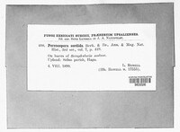 Image Associated With the Occurence